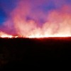 Un Establecimiento Ganadero fue sancionado por realizar la quema de pastos en su terreno