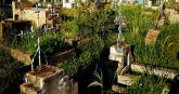 Contribuyentes preocupados por las malezas en Cementerio de la ciudad