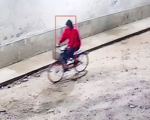 Robaron una bicicleta en el predio del ISFD y quedaron filmados por cámaras de seguridad