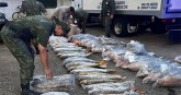 Secuestran 720 kilos de pescado transportado de manera ilegal en Ituzaingó