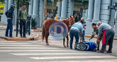 Caballo suelto provocó un accidente de tránsito en San Martín y Sarmiento