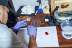 Tras un allanamiento secuestraron Marihuana y detuvieron a una femenina