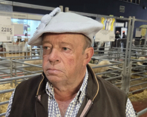 Una cabaña correntina conquistó el Gran Campeón Romney Marsh en la Exposición Rural