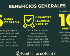 Valdés anunció nuevas líneas de financiamiento para potenciar la ganadería correntina