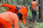 Más de 120 operarios se capacitaron en prevención y combate de incendios en Virasoro