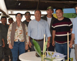 Corrientes: Producción entregó 2.000 plantines de Palta Hass para fortalecer la actividad frutihortícola